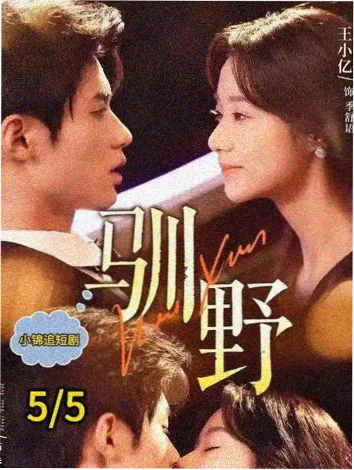 都市剧午夜电台海报