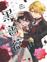 月落长安剧照